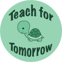 a green turtle, ecgberht, the teach for tomorrow mascot